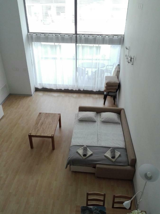 Loft With Terrace 24m2, Swimming Pool And Garage Chirivella